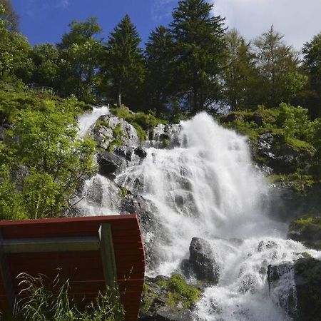 Waldloft Titisee Εξωτερικό φωτογραφία