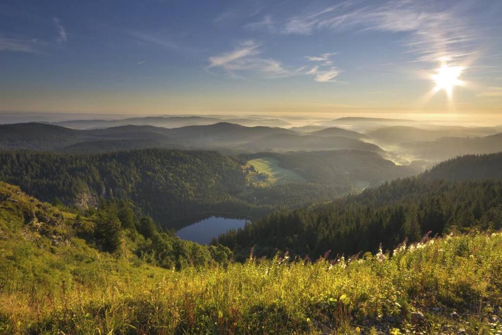 Waldloft Titisee Εξωτερικό φωτογραφία
