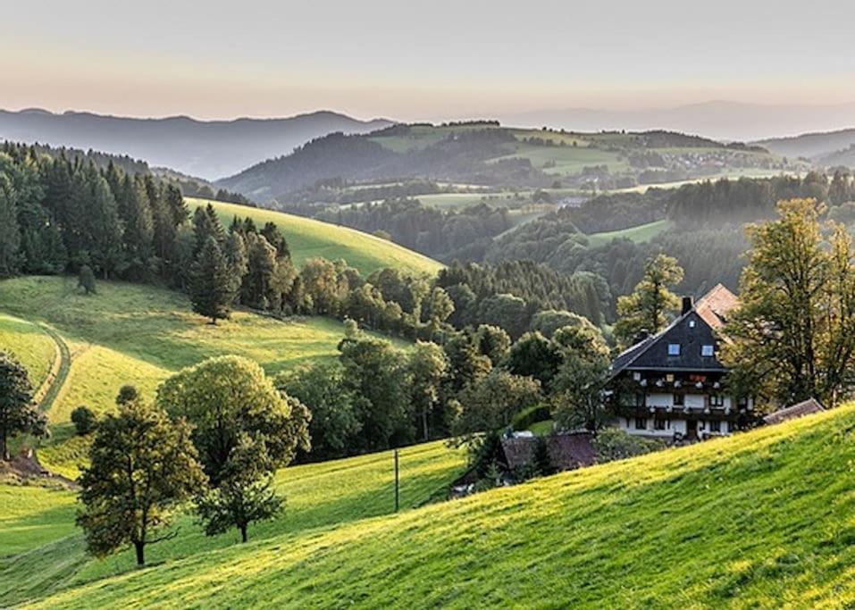 Waldloft Titisee Εξωτερικό φωτογραφία