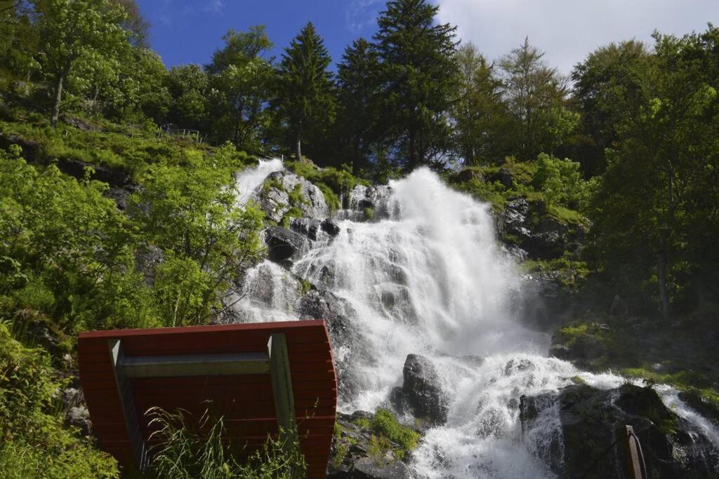 Waldloft Titisee Εξωτερικό φωτογραφία