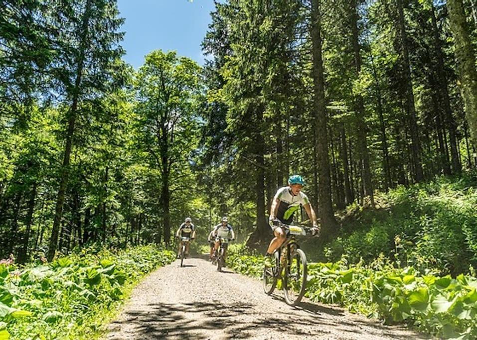 Waldloft Titisee Εξωτερικό φωτογραφία
