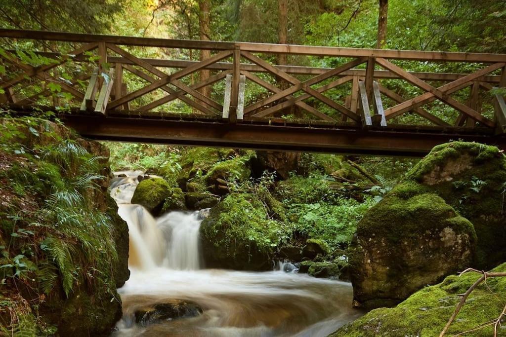 Waldloft Titisee Εξωτερικό φωτογραφία